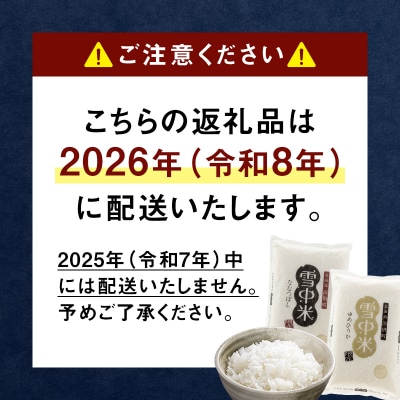 【先行予約】令和7年産 特Aランク米 ななつぼし 無洗米 20kg 【5月発送】 nr-1049