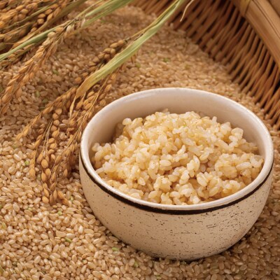 【先行予約】令和7年産 特Aランク米 ゆめぴりか 玄米 5kg【6月発送】 nr-0466