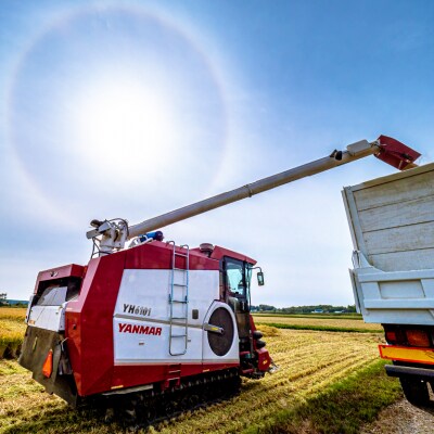 【先行予約】令和7年産 特Aランク米 ゆめぴりか 玄米 5kg【6月発送】 nr-0466