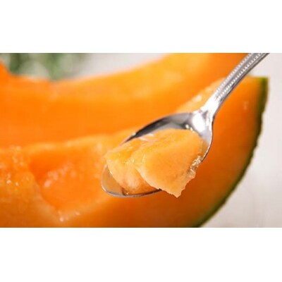 【先行予約】令和7年産 妃メロン 赤肉 2玉(令和7年7月下旬～8月中旬発送予定)  2012-01