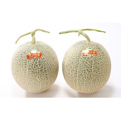 【先行予約】令和7年産 妃メロン 赤肉 2玉(令和7年7月下旬～8月中旬発送予定)  2012-01