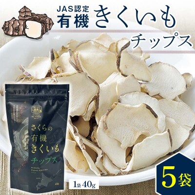 菊芋チップス 5袋入り 北海道産 n-0081