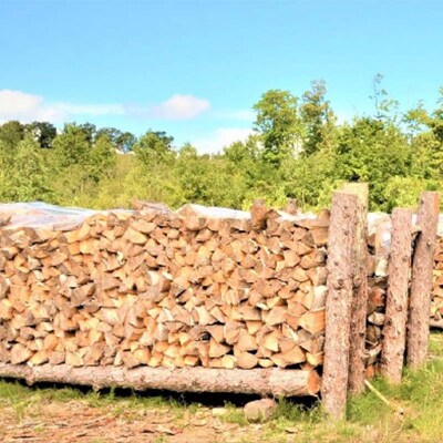 沼田町産 広葉樹ミックス薪 長さ約30cm 20kg キャンプ アウトドア用品 n-0091