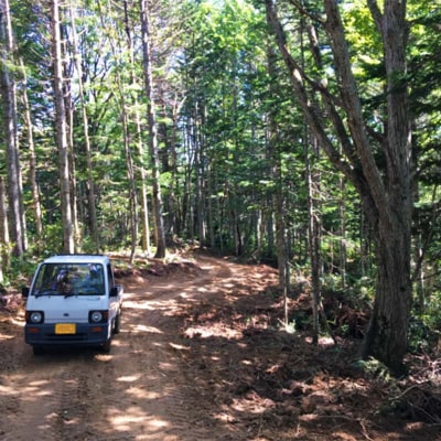 沼田町産 広葉樹ミックス薪 長さ約30cm 20kg キャンプ アウトドア用品 n-0091