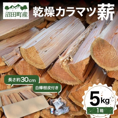 沼田町産 乾燥カラマツ薪 長さ約30cm 5kg 白樺樹皮付き キャンプ アウトドア n-0089