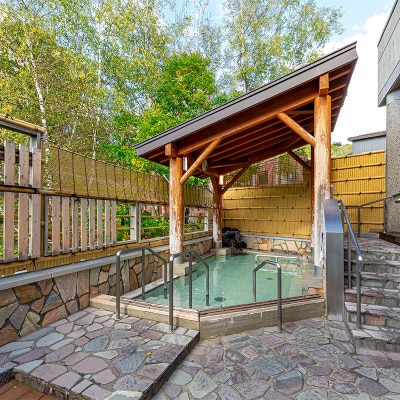 ほろしん温泉ほたる館 スキーパック平日宿泊券1泊2食【大人1名】 4040-01