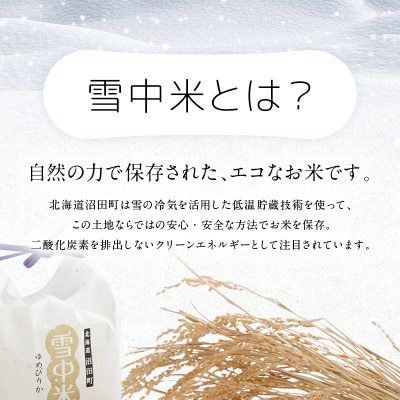 令和8年産 特Aランク米 ななつぼし 無洗米 20kg(5kg×4袋)【8月発送】 nr-2141