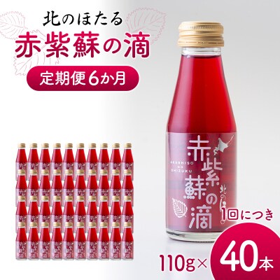 赤紫蘇の滴110g×40本 定期便 6か月 赤紫蘇 紫蘇ジュース 北のほたる 沼田町 n-0214