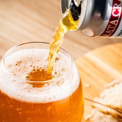 沼田町クラフトビール IPA 12缶 地ビール 酒 アルコール飲料 沼田町 北海道 n-0265