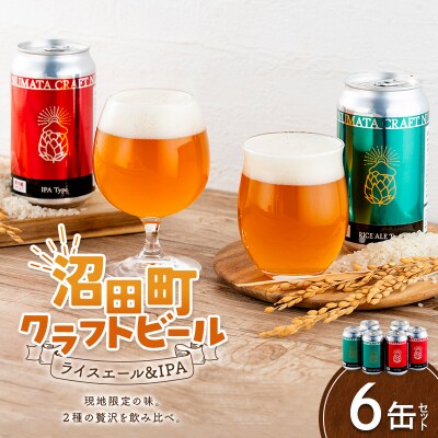沼田町クラフトビール飲み比べセット IPA ライスエール 6缶(各種3缶) n-0266