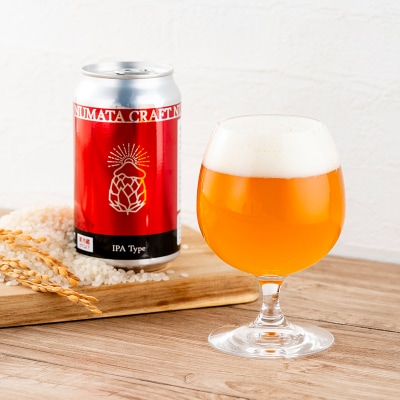 沼田町クラフトビール飲み比べセット IPA ライスエール 6缶(各種3缶) n-0266