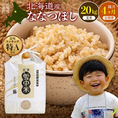 令和8年産【定期便隔月4ヶ月】ななつぼし 玄米 20kg【11月発送】 nr-2513
