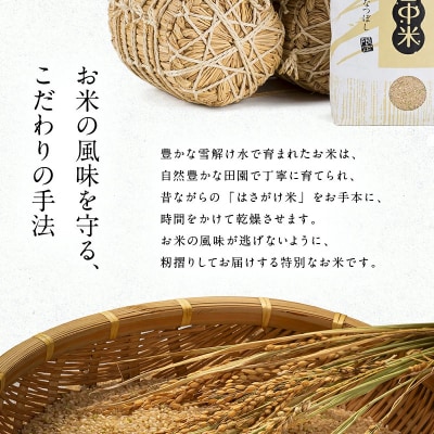 令和8年産【定期便隔月4ヶ月】ななつぼし 無洗米 20kg【12月発送】 nr-2411