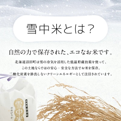 令和8年産 【定期便3ヶ月】 ゆめぴりか 無洗米 5kg【2月発送】 nr-1794