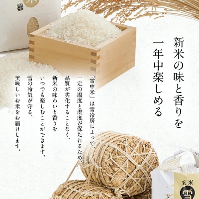 令和8年産 食べ比べセット 無洗米 計20kg ゆめぴりか・ななつぼし【4月発送】nr-2662