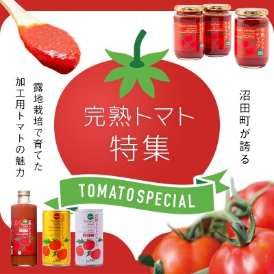 【定期便】契約農家が露地栽培した完熟トマトケチャップ(320g瓶×2本×6ヶ月)n-0222