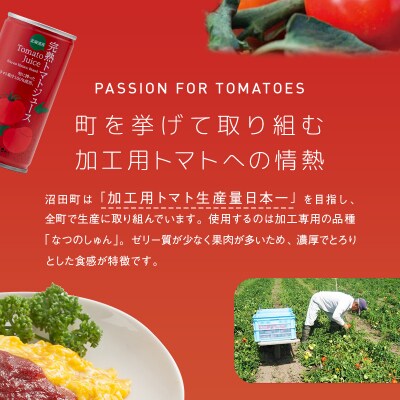 【定期便】契約農家が露地栽培した完熟トマトケチャップ【320g瓶×4本×6ヶ月】(毎月)n-0225