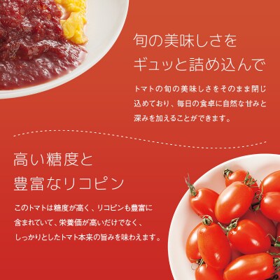 【定期便】契約農家が露地栽培した完熟トマトケチャップ【320g瓶×4本×6ヶ月】(隔月)n-0226