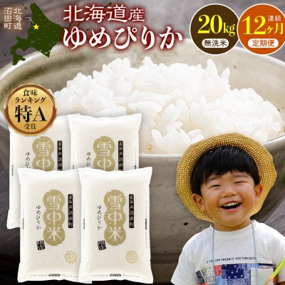 令和8年産【定期便12ヶ月】 ゆめぴりか 無洗米 20kg【2月発送】 nr-3771