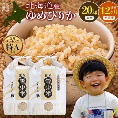 令和8年産【定期便12ヶ月】 ゆめぴりか 玄米 20kg 【11月発送】 nr-3792