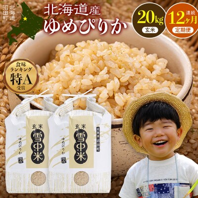 令和8年産【定期便12ヶ月】 ゆめぴりか 玄米 20kg 【3月発送】 nr-3796