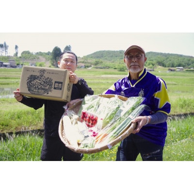 庄原産「旬の野菜」詰め合わせ箱