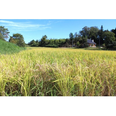 令和7年産　新米　広島県庄原市産　あきさかり(玄米)