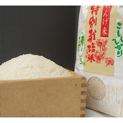 【毎月定期便】夢のひかり5kg(こしひかり)全3回