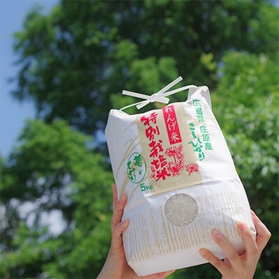 2020年11月発送開始『定期便』夢のひかり10kg(こしひかり)全12回