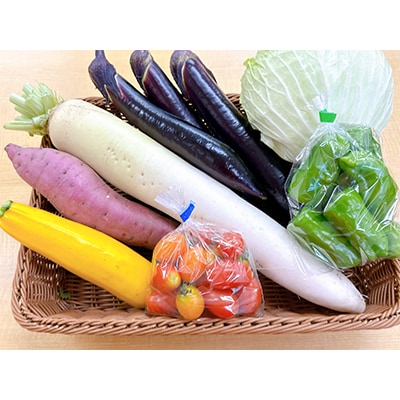 【毎週定期便】道の駅たかのスタッフ厳選!庄原市産「旬」の野菜詰め合わせ(6～8点)全12回