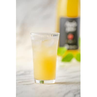 テレビで紹介!白根りんご農園の100%りんごジュース(720ml×3本)