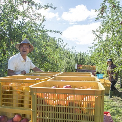 庄原 白根りんご農園のりんごのお酒とジュースセット