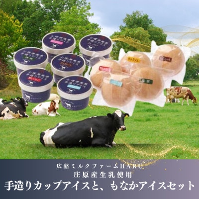 庄原産生乳使用　手造りカップアイスと、もなかアイスセット