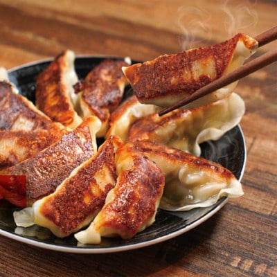 庄原いのしし肉餃子　180g×4パック