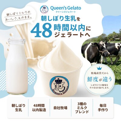 オールミルク 100ml×6個【Queen’s Gelato】