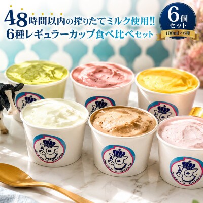 レギュラーカップ 6個 アソートセット(6種×各1個)【Queen’s Gelato】