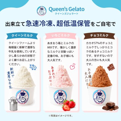 レギュラーカップ 6個 アソートセット(6種×各1個)【Queen’s Gelato】