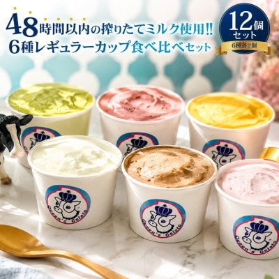 レギュラーカップ 12個 アソートセット(6種×各2個)【Queen’s Gelato】