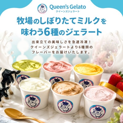 レギュラーカップ 12個 アソートセット(6種×各2個)【Queen’s Gelato】