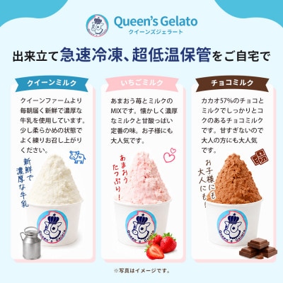 レギュラーカップ 12個 アソートセット(6種×各2個)【Queen’s Gelato】