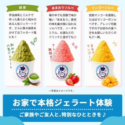 レギュラーカップ 12個 アソートセット(6種×各2個)【Queen’s Gelato】