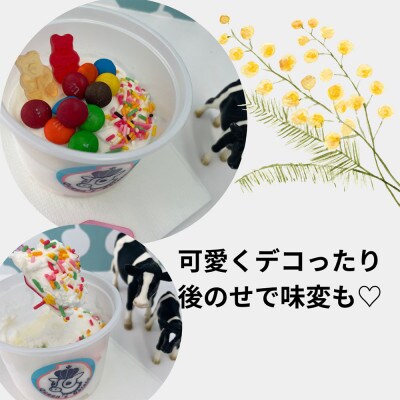 おめかしジェラート 100ml×6個セット(3種×各2個)【Queen’s Gelato】