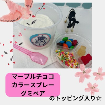 おめかしジェラート 100ml×12個セット(3種×各4個)【Queen’s Gelato】