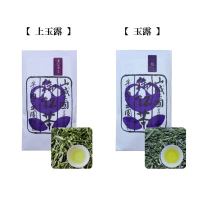 【 店主厳選 】いろいろな宇治茶の詰め合わせ