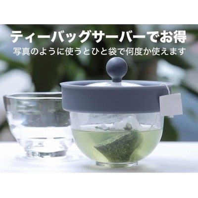 新感覚の『きゅ～す』ちゃPod2 ライトブルー すべてのお茶とコーヒーを手軽に 食洗器もOK 急須