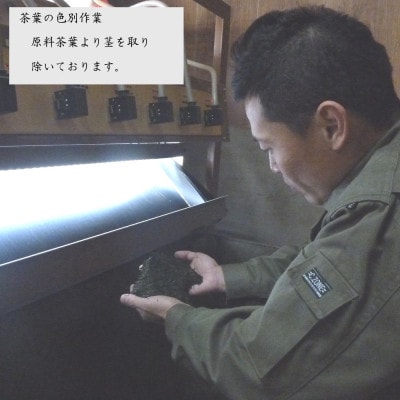 《数量限定》宇治茶 玉露「瑞竜」・煎茶「皐月の誉」詰合せ【H-50】京都・宇治 自社工場製造