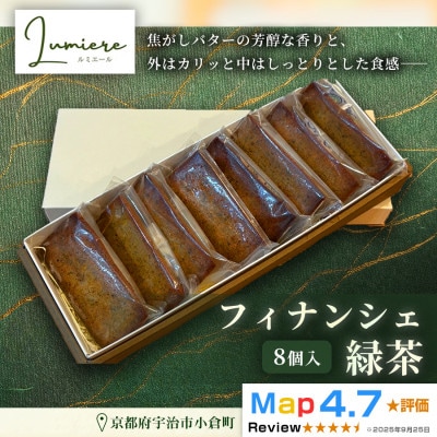 フィナンシェ 緑茶味  1箱8個入り