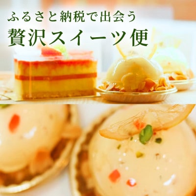 プレーン フィナンシェ 1箱8個入