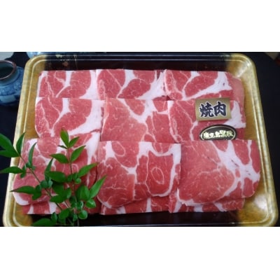 鹿児島県産 黒豚焼肉1.5kg