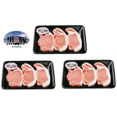 鹿児島黒豚とんかつセット(C-801) No.1253-2